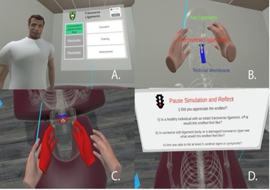 A collage of 4 images shown from the perspective of an individual using the virtual reality device, showing an anatomical investigation of transverse ligaments. Pictures are denoted A, B, C and D corresponding with the steps outlined below.